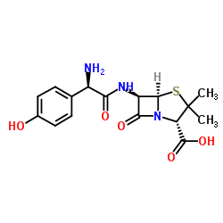 Amoxycillinum  -  5