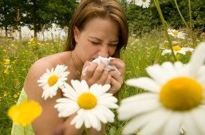 Аллергия на пыльцу: как распознать, как предупредить, как бороться?
