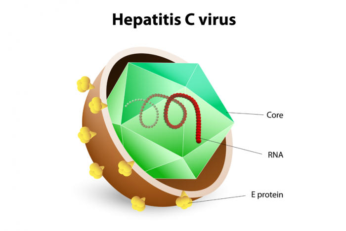  ГЕПАТИТ С: симптомы и лечение гепатита C у мужчин и женщин. Как передается гепатит 