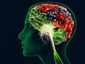 Foods-for-Brain-Function