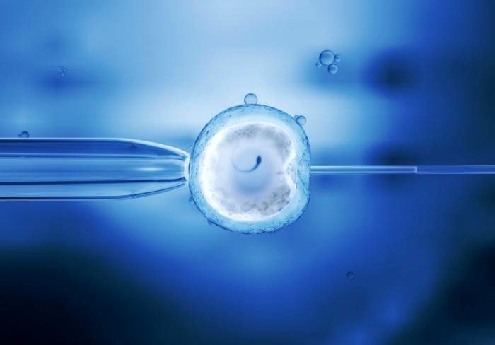  ЭКО: использование замороженных яйцеклеток связано с более плохими показателями живорождения 