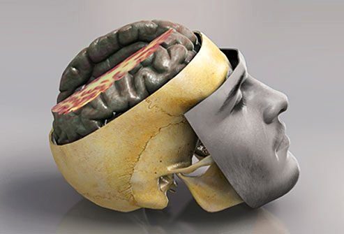 Травмы головы и головного мозга