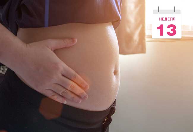 живот на 13 неделе беременности