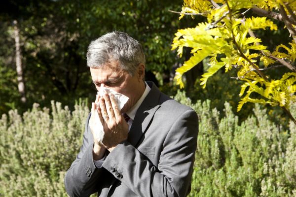 Аллергия на пыльцу: причины, симптомы и лечение