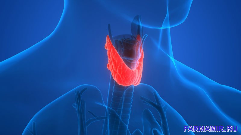Гормоны щитовидной железы: их функции в организме и виды специфических веществ