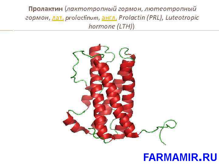 гормон пролактин