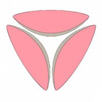 логотип Центр экспертной гинекологии